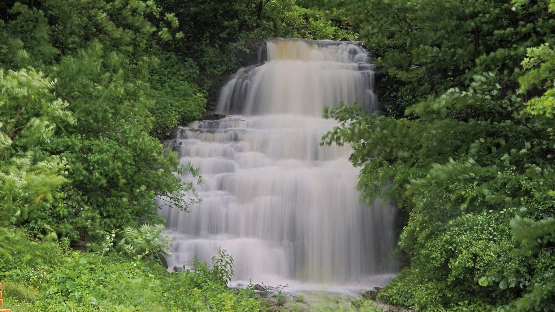 cascades eau cascade nature en plein air rivière voyage bois feuille paysage arbre été parc flux automne cascade