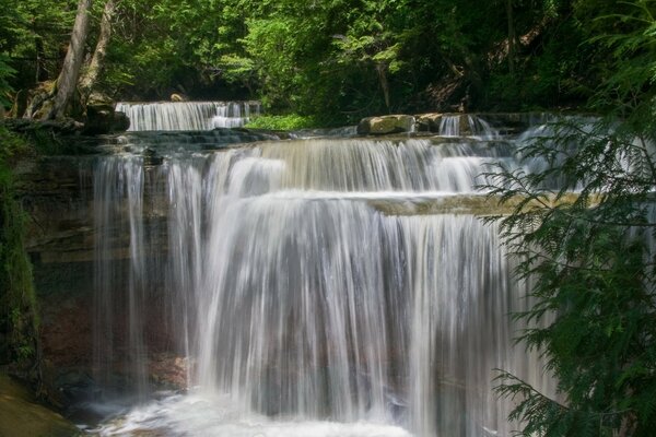 A raging waterfall in a dense forest