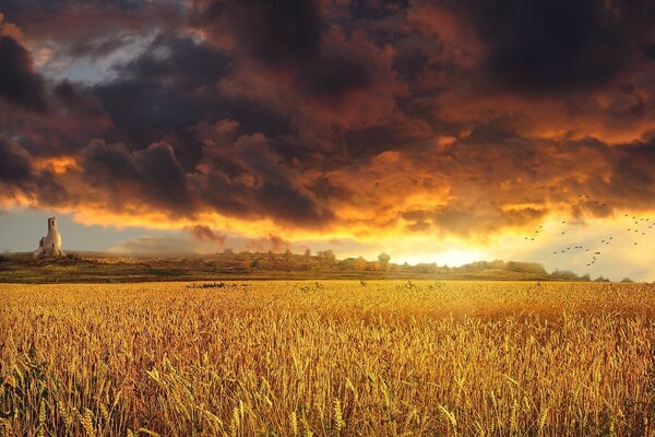 Tonos de puesta de sol en el campo