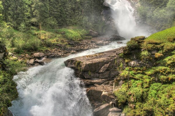 Naturaleza río cascada bosque árboles