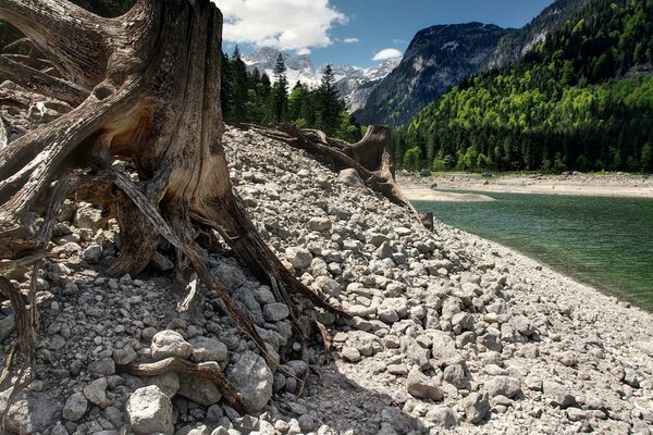 Wallpaper with the image of nature year of a stream and a stone