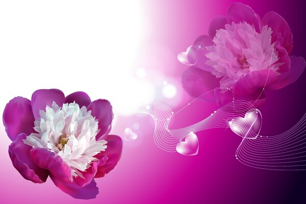 Pink pattern of peony flowers romance