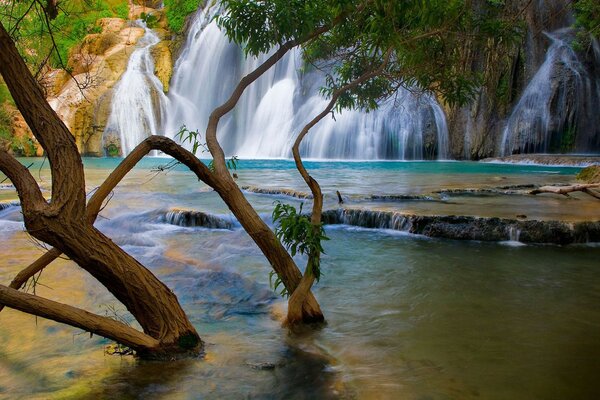 Waterfall with a lake and flooded trees