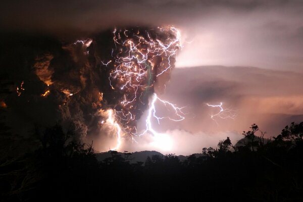 Lightning in the forest at sunset