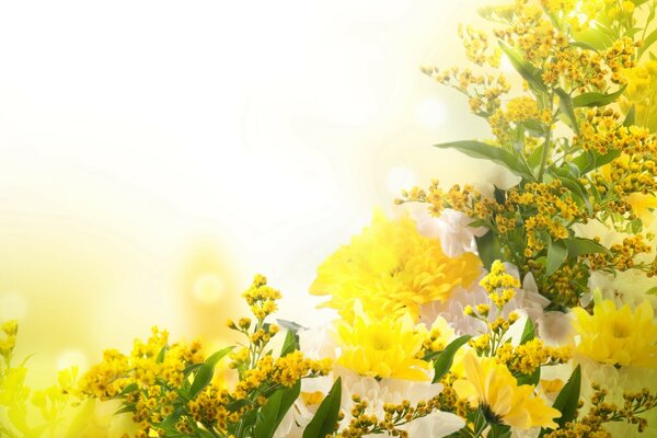 Yellow flowers. Background, autumn