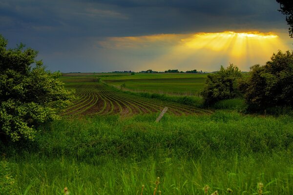 Agricultura Pôr do sol Paisagem Céu escuro