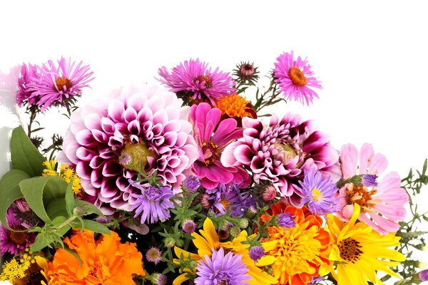 A bright bouquet of autumn flowers