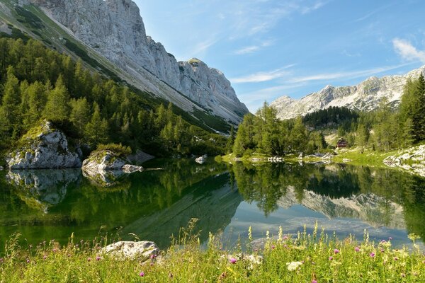 Ein wunderschöner See in den Bergen, umgeben von Bäumen