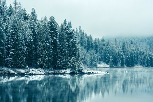 Beautiful forest lake in winter