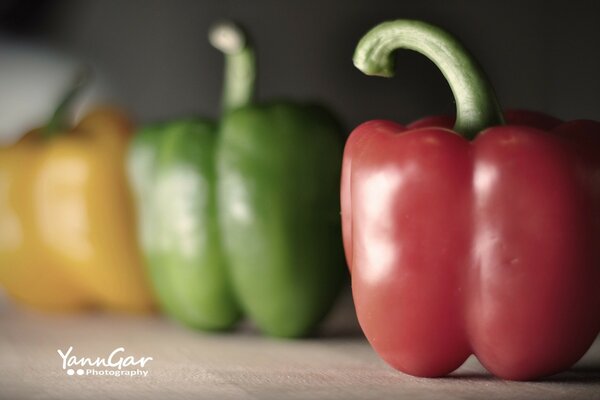 Le verdure sono un ottimo ingrediente in una dieta sana