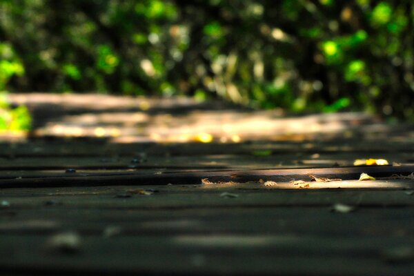 Wooden bridge after the rain