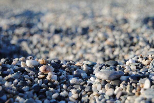 Nahaufnahme von Kies am Strand