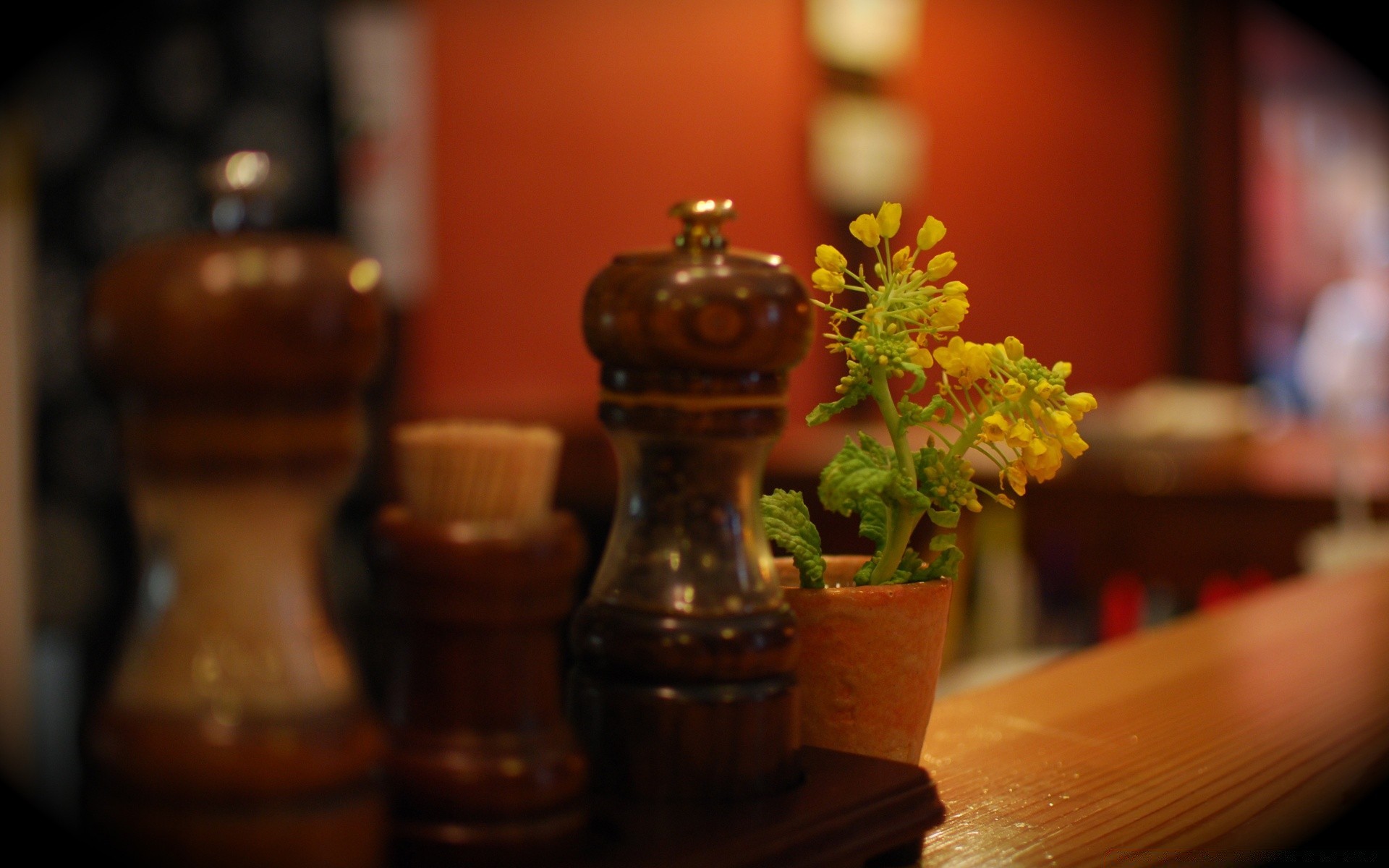 blumen holz stillleben drinnen tabelle behälter geschirr essen