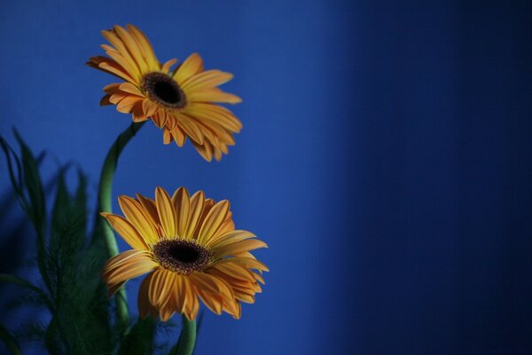 Flor brillante en el interior