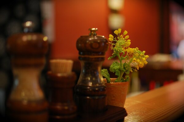 Flor solitária em um vaso