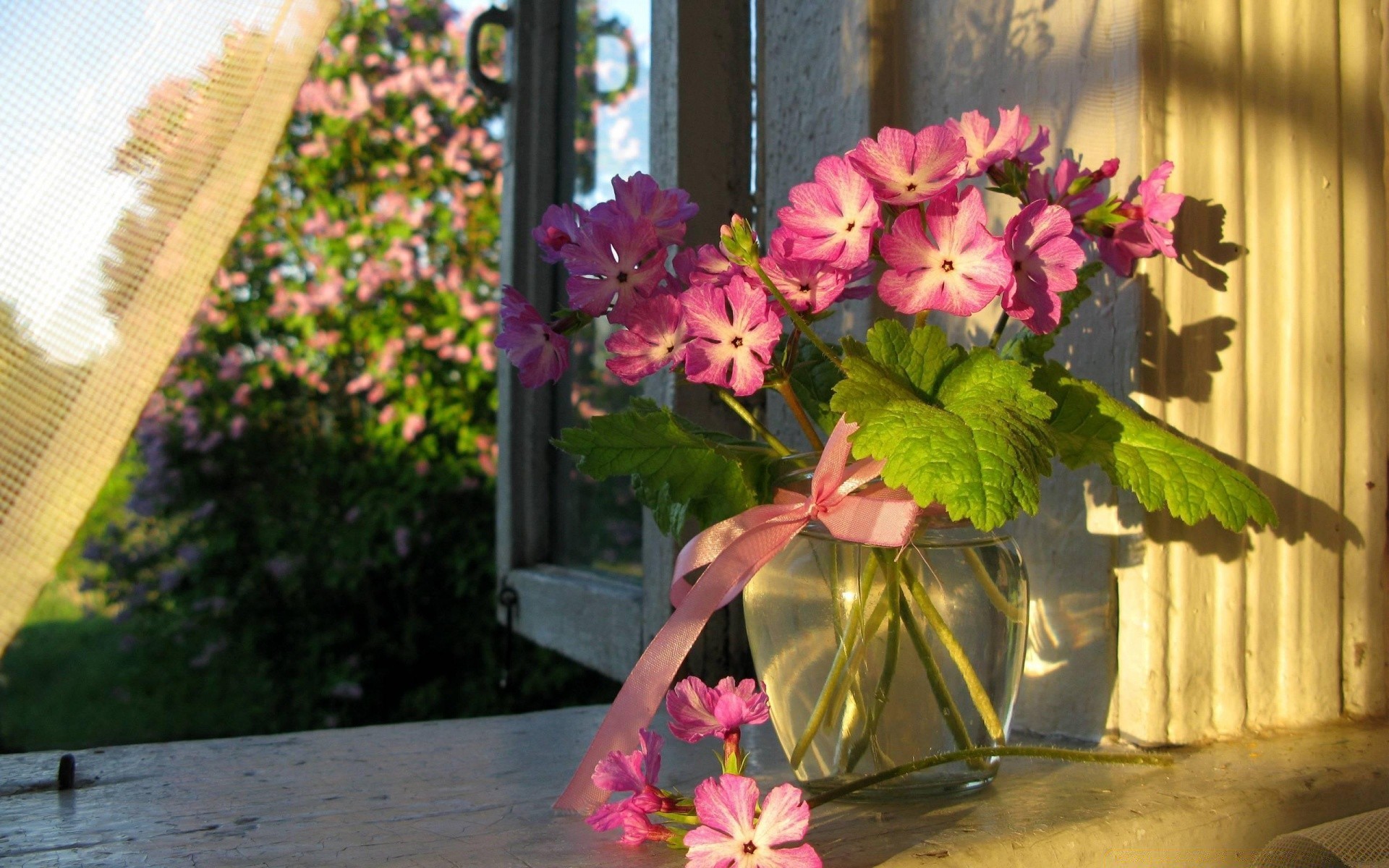 fiori fiore giardino estate natura flora foglia all aperto rosa fiore colore bouquet decorazione bel tempo floreale petalo