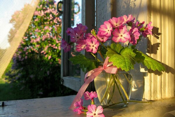 A beautiful flower on the windowsill. Summer garden