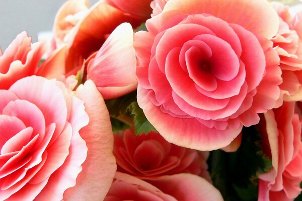 Blumenstrauß aus schönen rosa Blüten