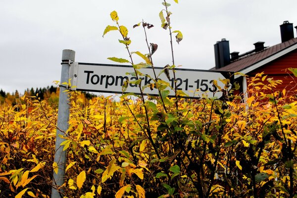 Road sign on a background of yellow leaves