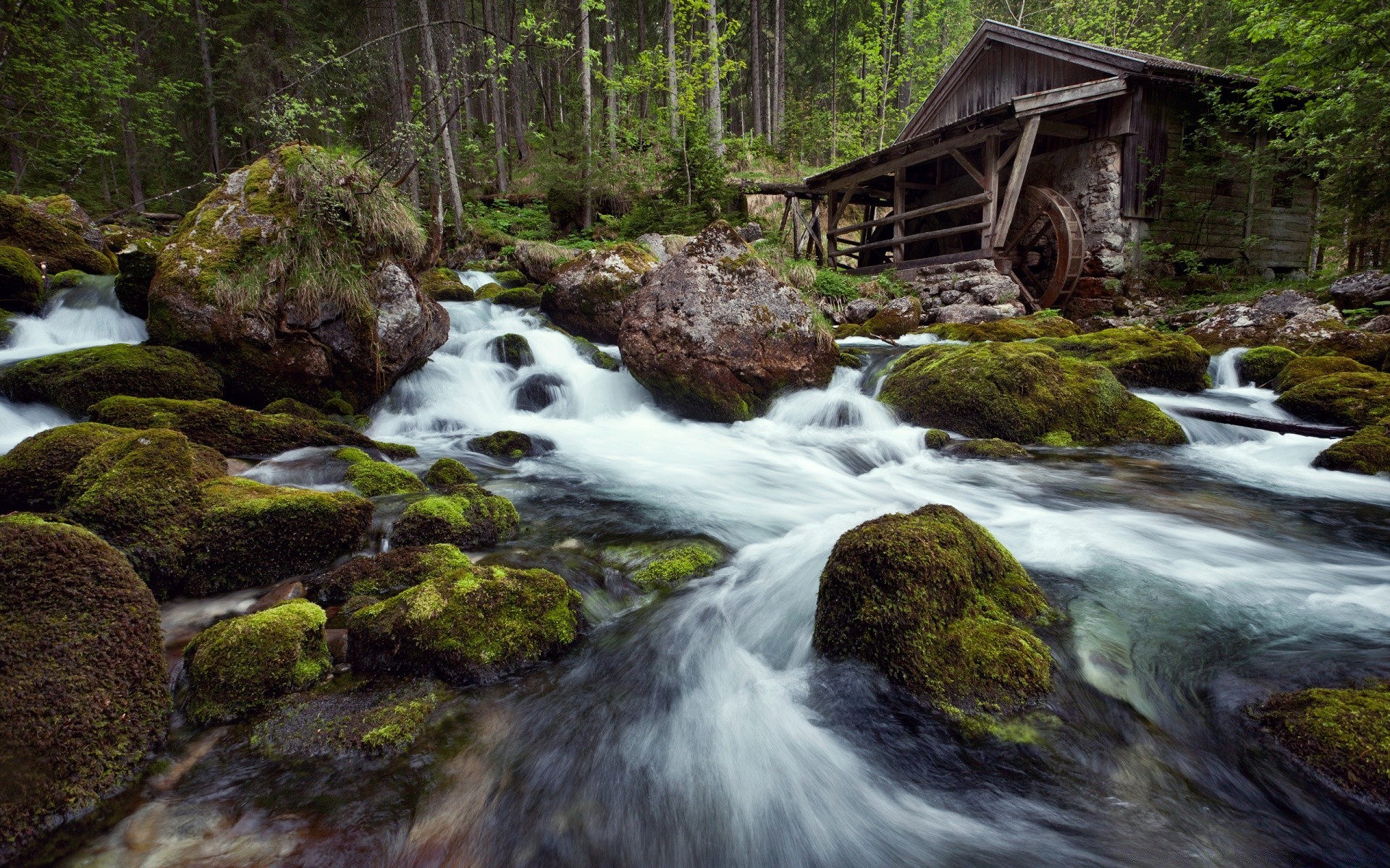 лес водопад поток воды река крик рок древесины каскад природа мох осень поток пейзаж лист движения дикий - рапидс горы камень