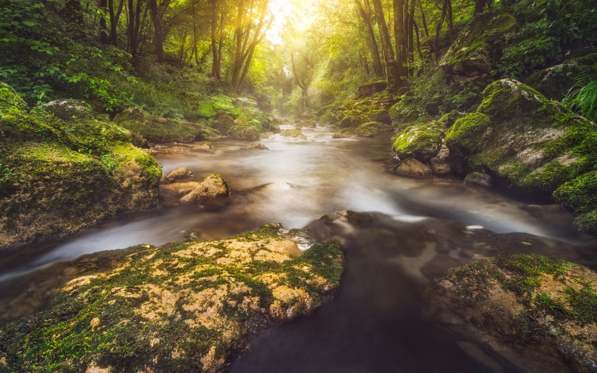 wald landschaft wasser holz natur fluss reisen wasserfall baum blatt medium herbst park fluss im freien moos landschaftlich wild rock schrei