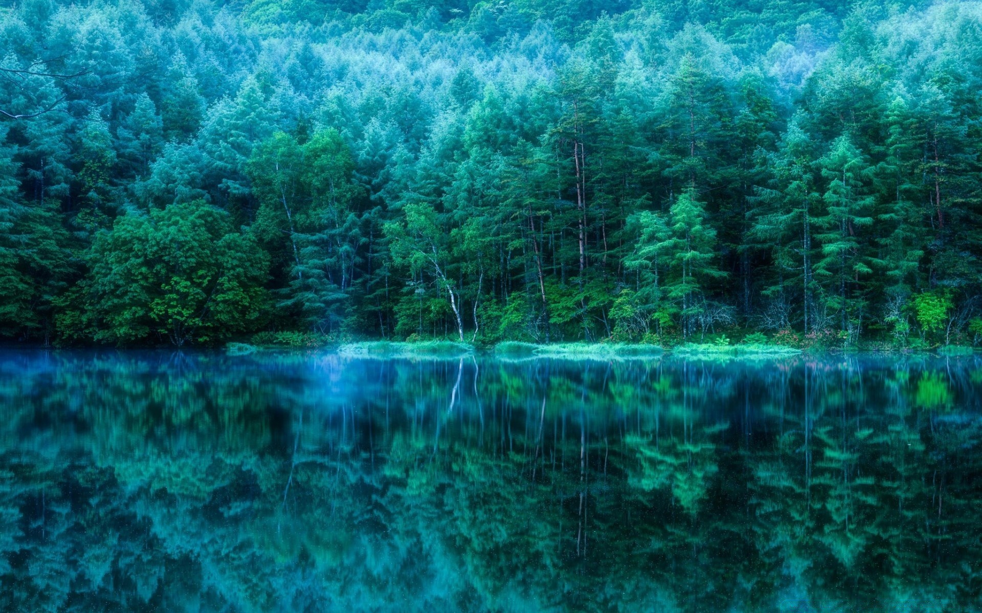 forêt eau nature bureau paysage voyage mer turquoise été