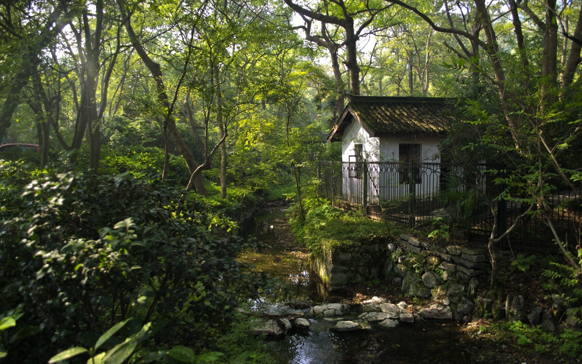 forest wood tree nature house leaf garden summer outdoors landscape wooden family travel