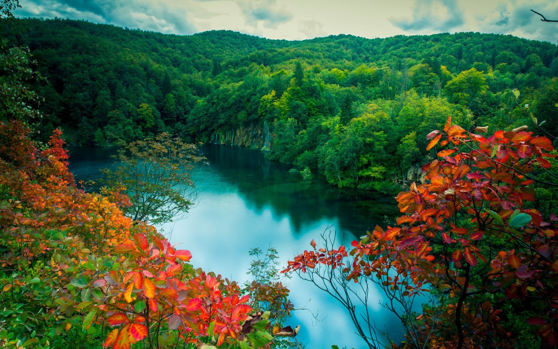 wald herbst baum blatt natur landschaft wasser holz im freien landschaftlich reisen saison fluss see