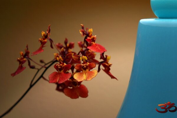 Ramo con fiori rossi accanto a un oggetto blu