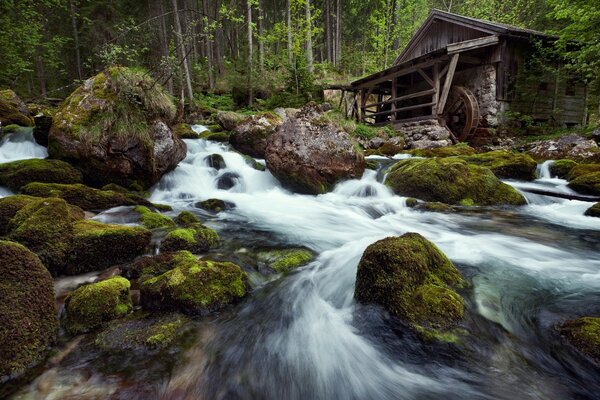 Wald Wasserfall an der alten Hütte