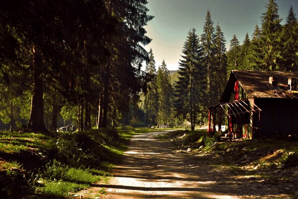 Holzhütte an der Straße im Wald