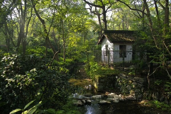 A small house in the middle of the forest