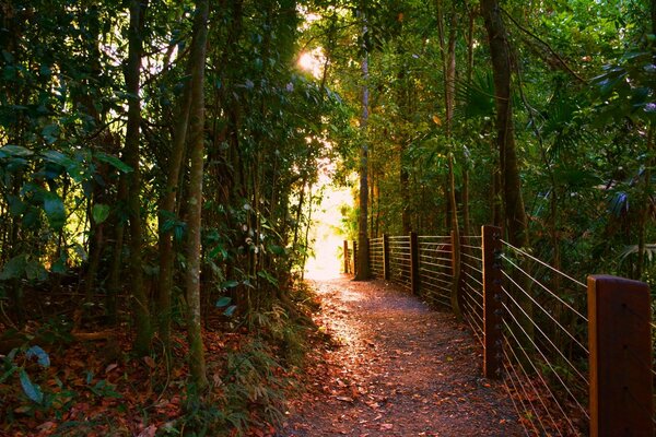 Autumn road along the fence