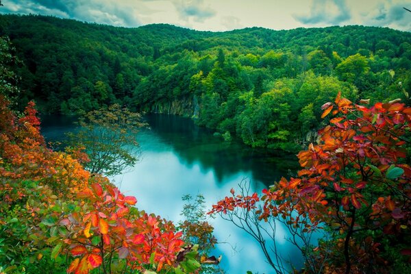 Herbstliche Natur mit gelbem Laub