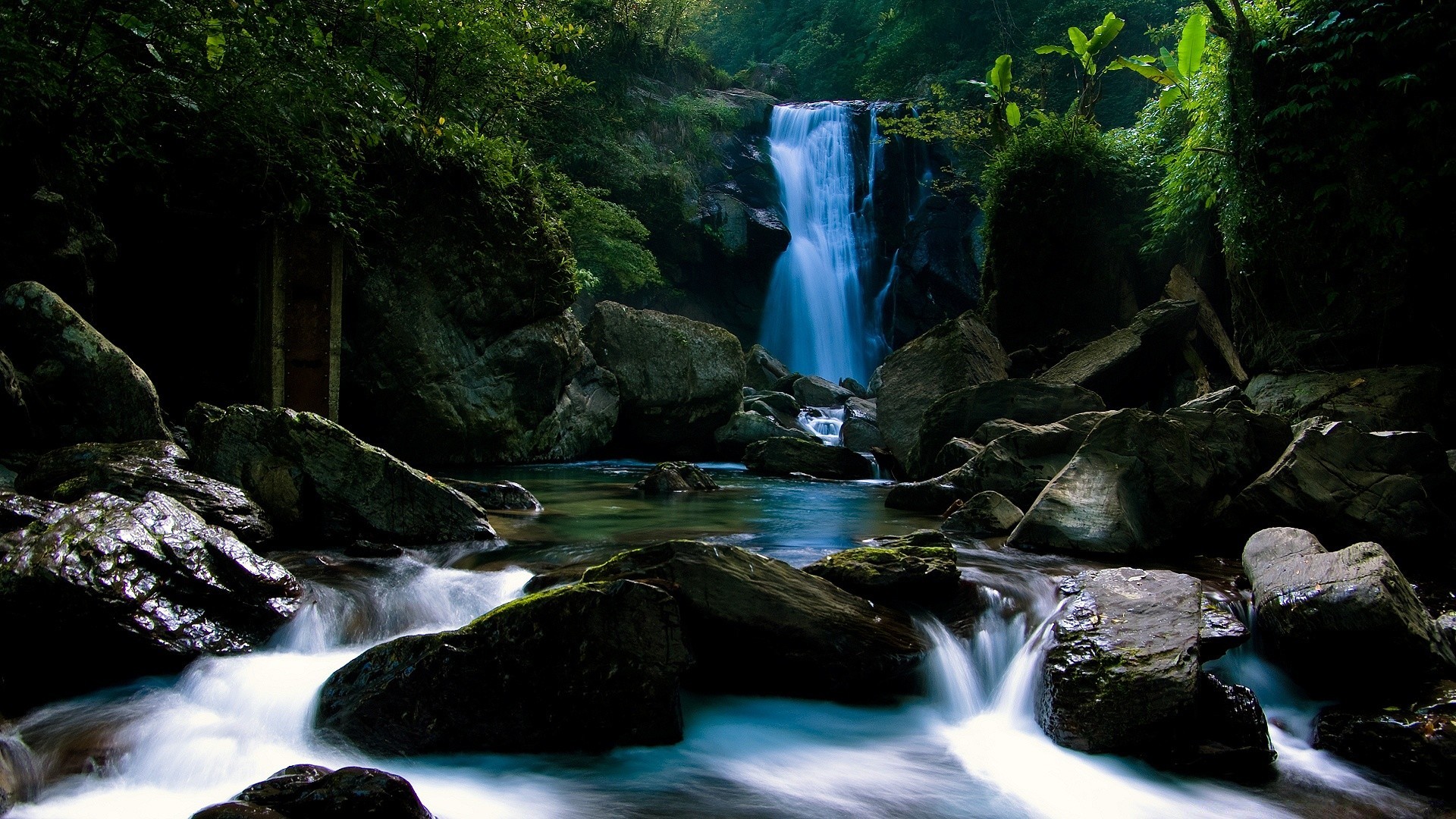 forest waterfall water river stream cascade rock motion creek wood nature travel mountain landscape fall moss outdoors flow splash purity