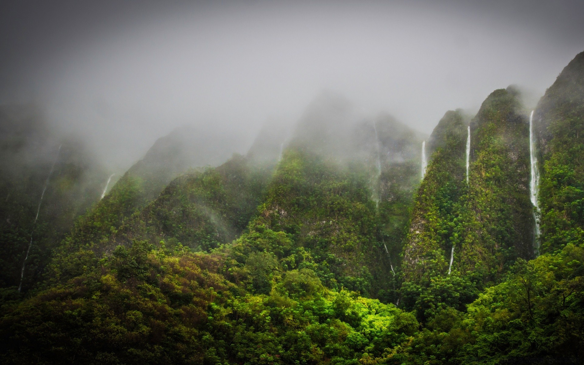 森林 雾 雾 景观 山 自然 黎明 树 木材 旅行 天空 日落 户外 雨 雨林 光 叶