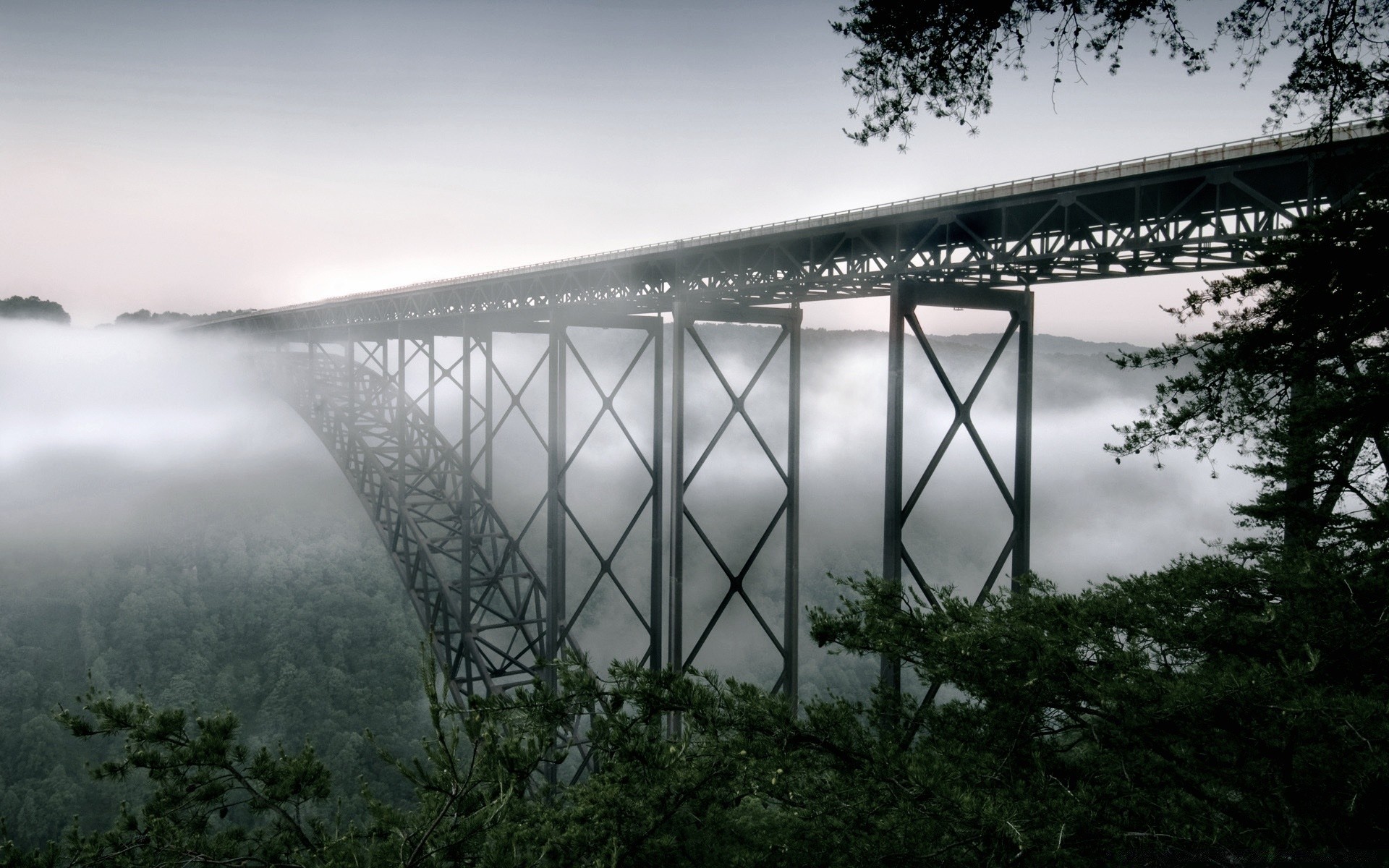 wald wasser brücke himmel natur landschaft reisen fluss holz see holz im freien nebel dämmerung