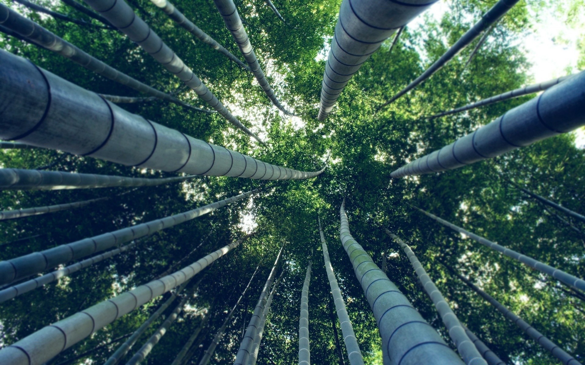 forest steel tree power environment industry energy iron nature construction outdoors pipe tube pollution expression