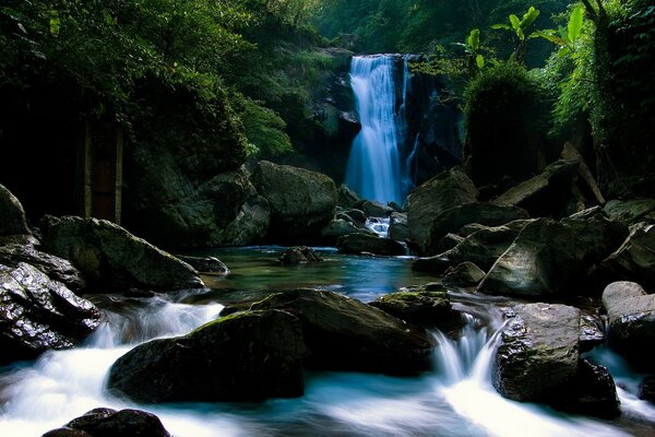 Flusso d acqua su una cascata nella foresta