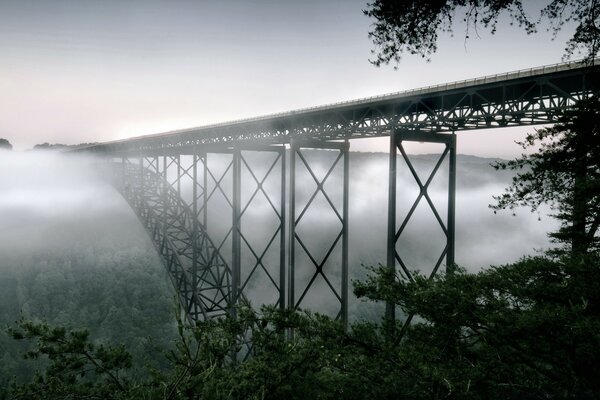 Міст йде в густий туман