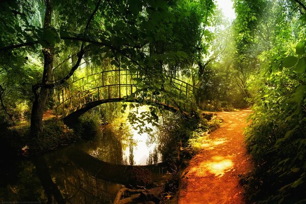 Wald schöne Brücke über den Fluss