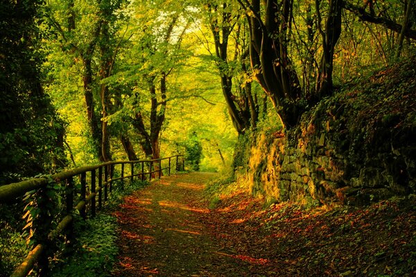 Der Weg durch das Grün ist rot