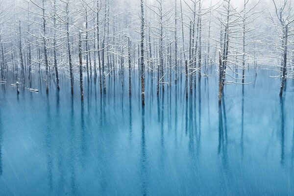 Orman kış gölüyle sular altında kaldı
