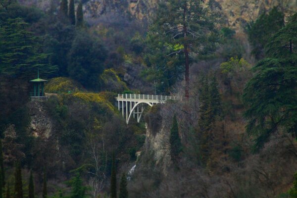 Uma ponte nas rochas. Paisagem da floresta de outono