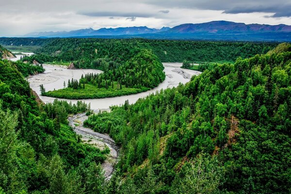 A river in the middle of the forest. Landscape, top view (Bird s-eye view)