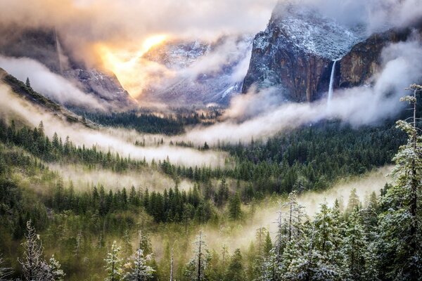 Fog over the forest of a huge ravine