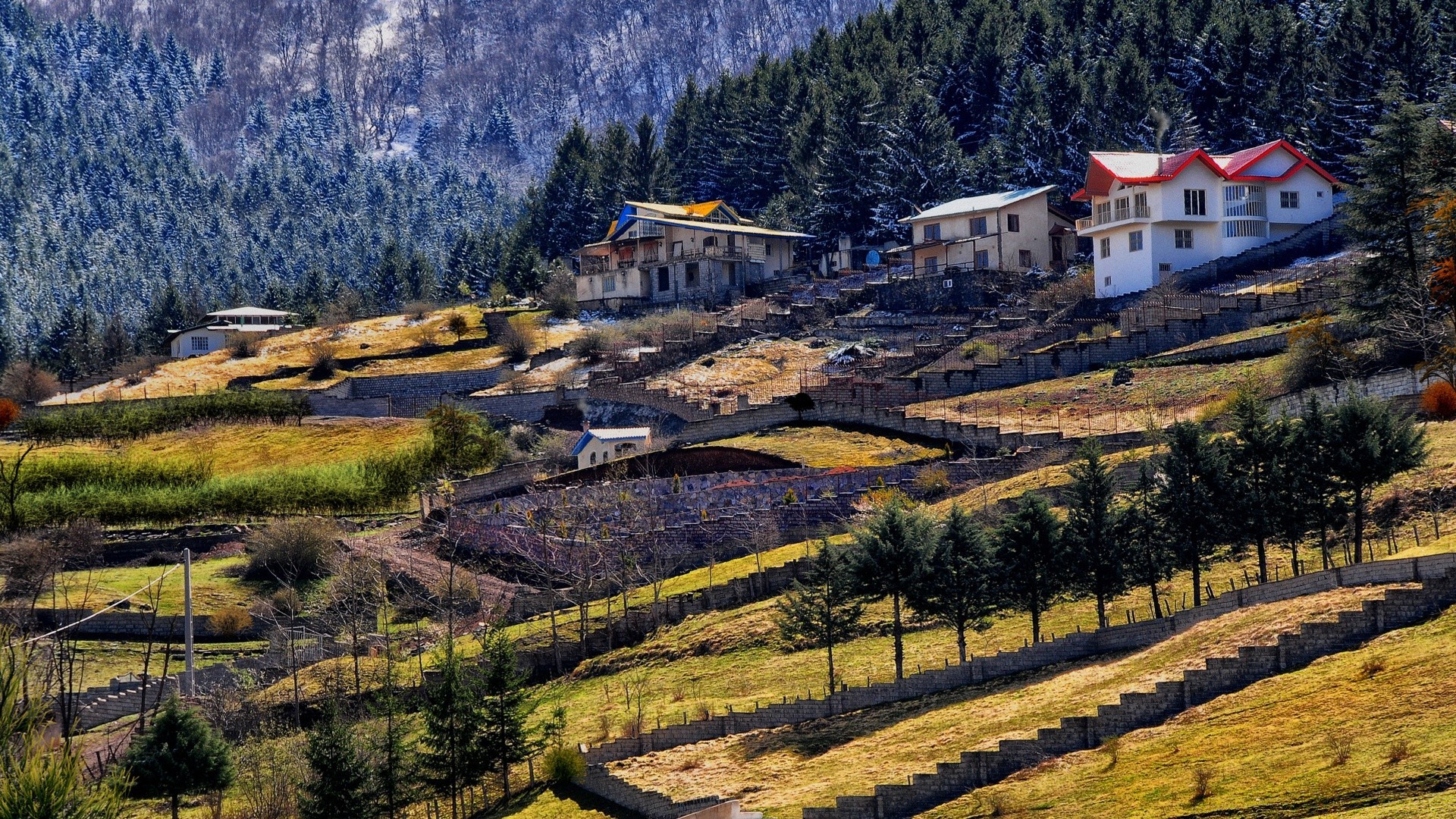 वन घर यात्रा परिदृश्य घर के बाहर पेड़ वास्तुकला प्रकृति लकड़ी पहाड़ सुंदर घर आकाश दिन के उजाले पहाड़ी