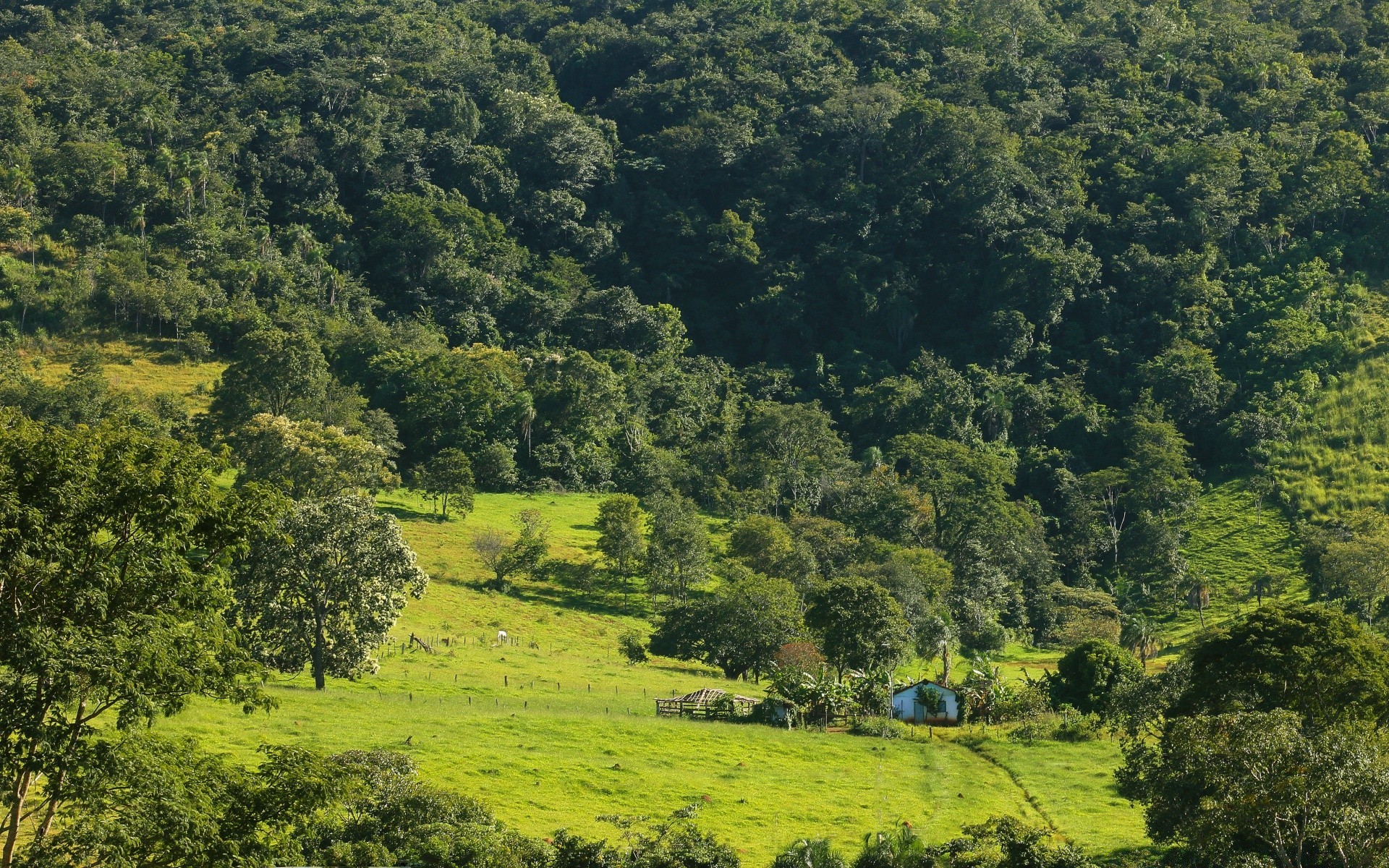 forest landscape tree nature hill wood agriculture outdoors field flora mountain hayfield scenic cropland environment sky panoramic farm daylight travel