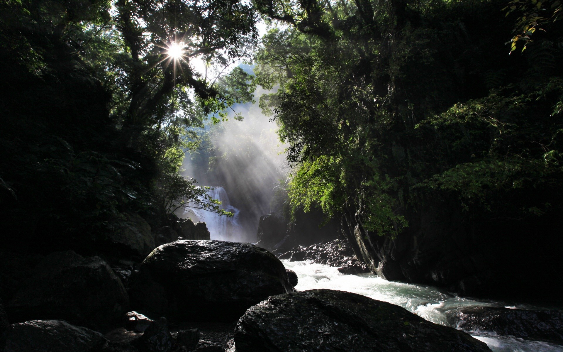 bosque agua cascada río naturaleza paisaje corriente roca madera viajes al aire libre árbol movimiento