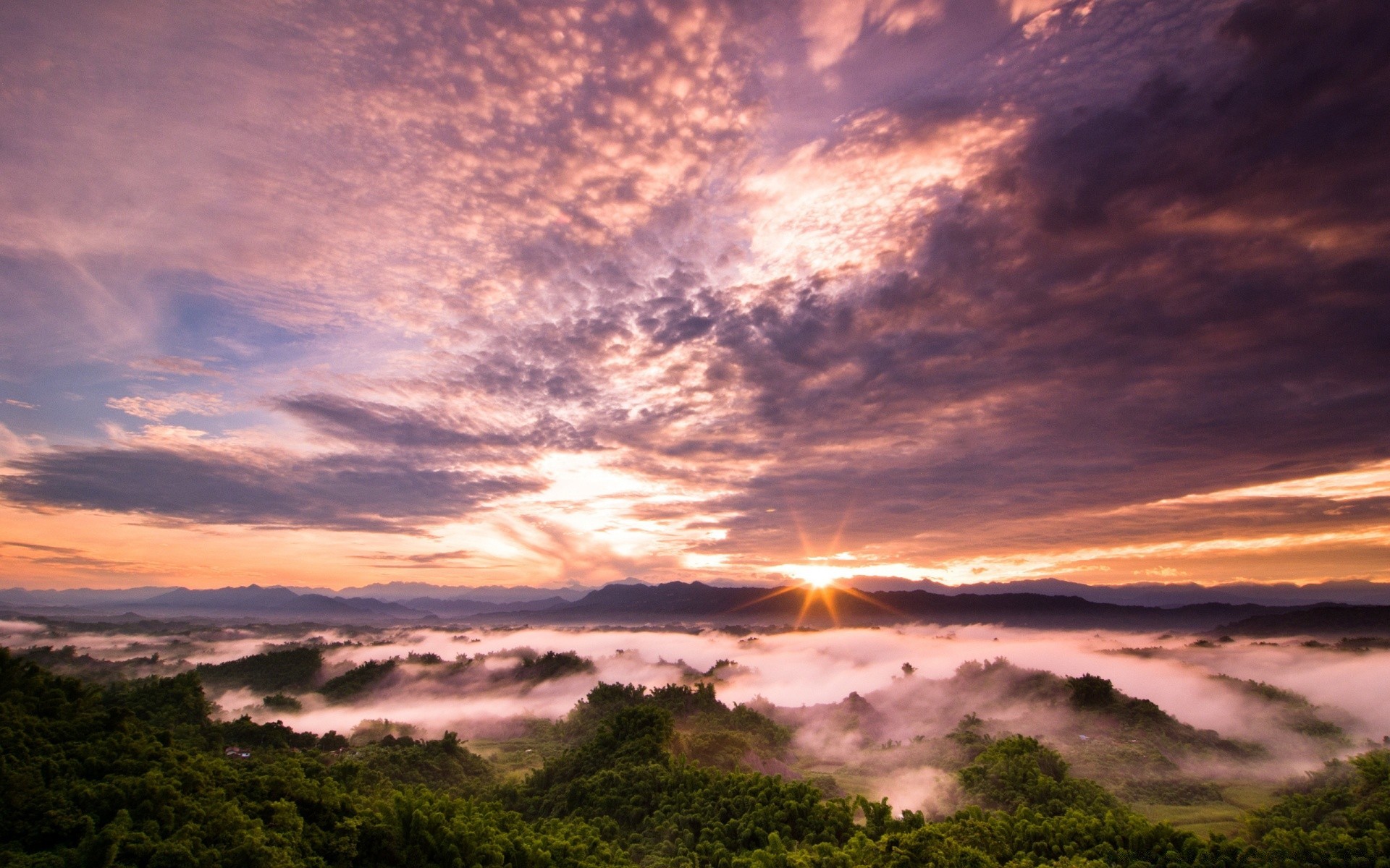 forest sunset landscape sun sky nature dawn summer light fair weather water evening outdoors dusk cloud weather beach